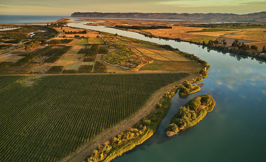 New Zealand’s Wine Industry Is Changing — Thanks to Māori Winemakers Embracing Indigenous Roots