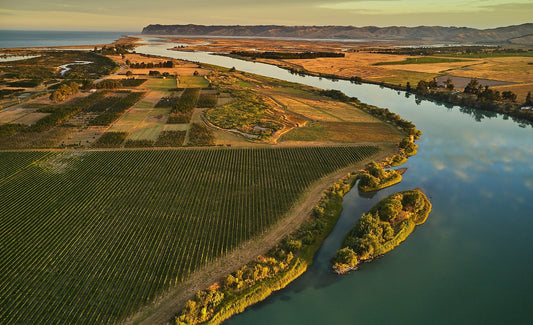 New Zealand’s Wine Industry Is Changing — Thanks to Māori Winemakers Embracing Indigenous Roots